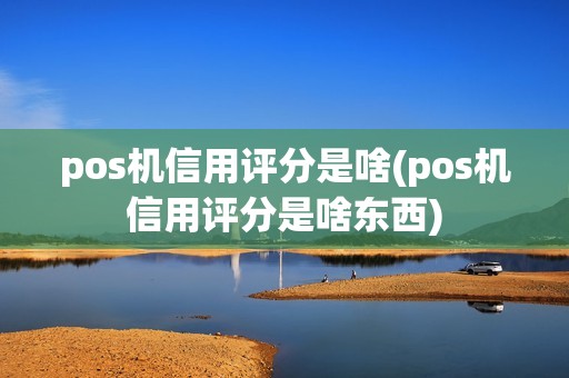 pos机信用评分是啥(pos机信用评分是啥东西)