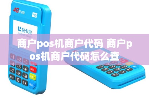 商户pos机商户代码 商户pos机商户代码怎么查
