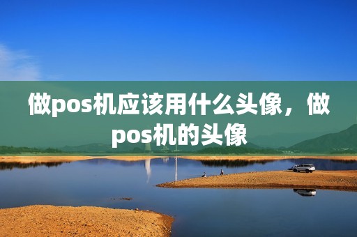 做pos机应该用什么头像，做pos机的头像