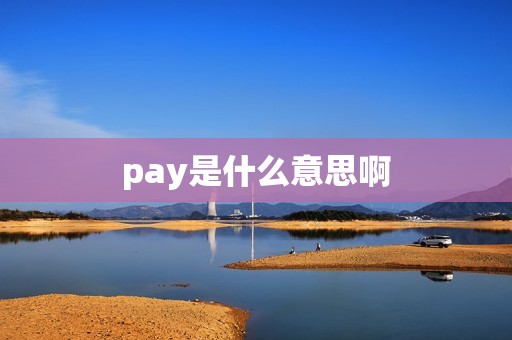 pay是什么意思啊