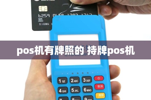 pos机有牌照的 持牌pos机