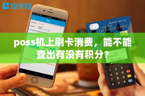 poss机上刷卡消费，能不能查出有没有积分？