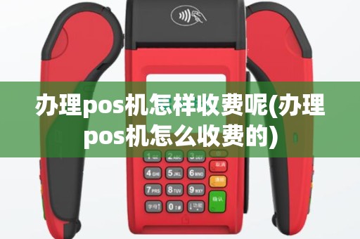 办理pos机怎样收费呢(办理pos机怎么收费的)