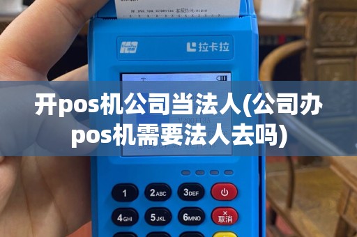 开pos机公司当法人(公司办pos机需要法人去吗)