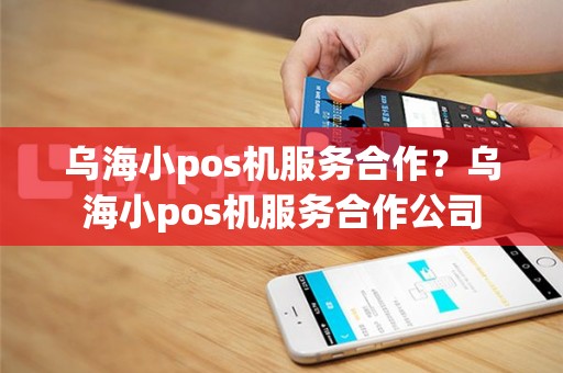 乌海小pos机服务合作？乌海小pos机服务合作公司