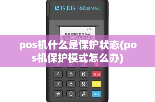 pos机什么是保护状态(pos机保护模式怎么办)