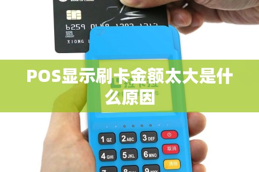 POS显示刷卡金额太大是什么原因