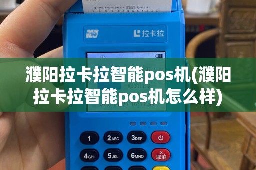 濮阳拉卡拉智能pos机(濮阳拉卡拉智能pos机怎么样)