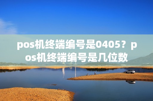 pos机终端编号是0405？pos机终端编号是几位数