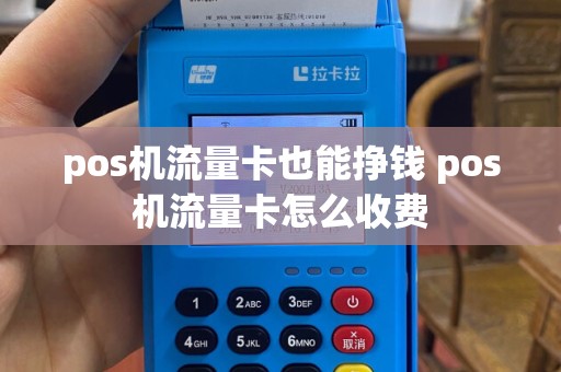 pos机流量卡也能挣钱 pos机流量卡怎么收费