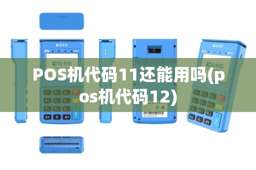 POS机代码11还能用吗(pos机代码12)