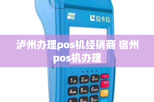 泸州办理pos机经销商 宿州pos机办理