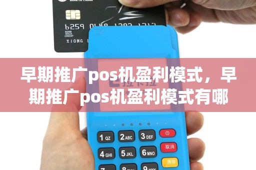早期推广pos机盈利模式，早期推广pos机盈利模式有哪些