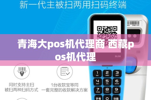 青海大pos机代理商 西藏pos机代理