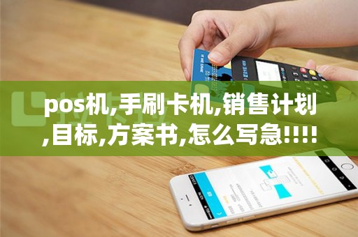 pos机,手刷卡机,销售计划,目标,方案书,怎么写急!!!!求解救