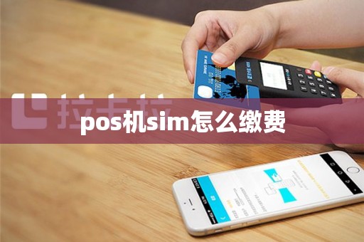 pos机sim怎么缴费