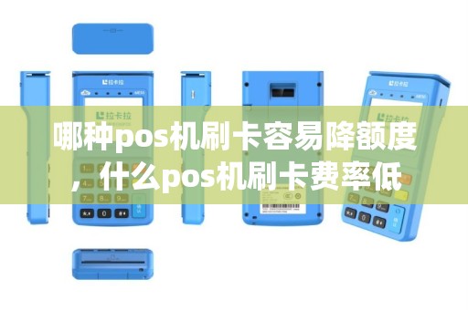 哪种pos机刷卡容易降额度，什么pos机刷卡费率低