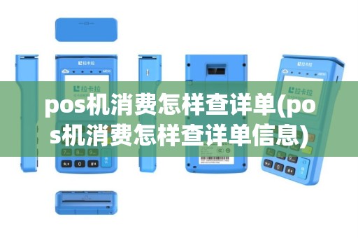 pos机消费怎样查详单(pos机消费怎样查详单信息)