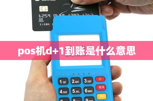 pos机d+1到账是什么意思