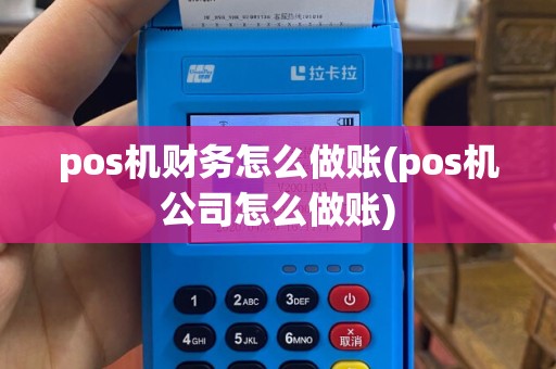 pos机财务怎么做账(pos机公司怎么做账)