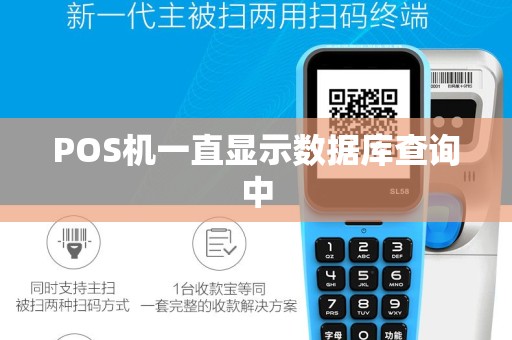 POS机一直显示数据库查询中