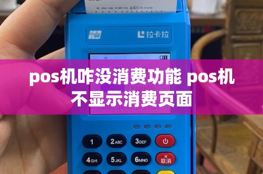 pos机咋没消费功能 pos机不显示消费页面