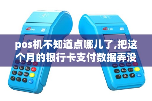 pos机不知道点哪儿了,把这个月的银行卡支付数据弄没了,怎么办