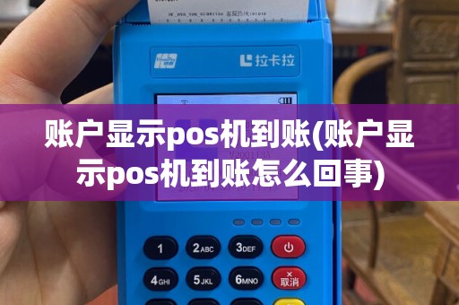 账户显示pos机到账(账户显示pos机到账怎么回事)