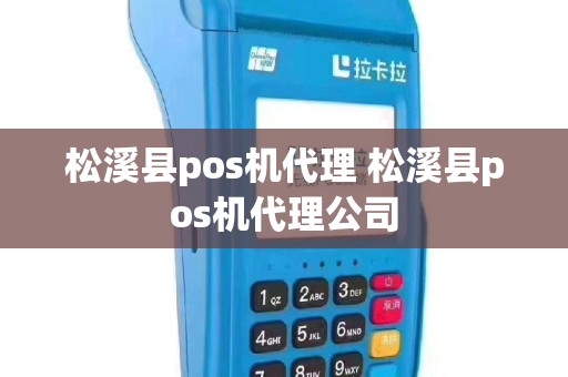 松溪县pos机代理 松溪县pos机代理公司