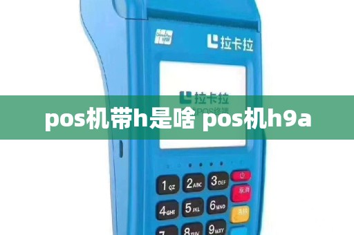 pos机带h是啥 pos机h9a