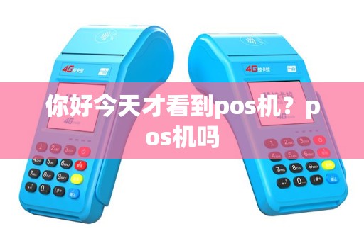 你好今天才看到pos机？pos机吗