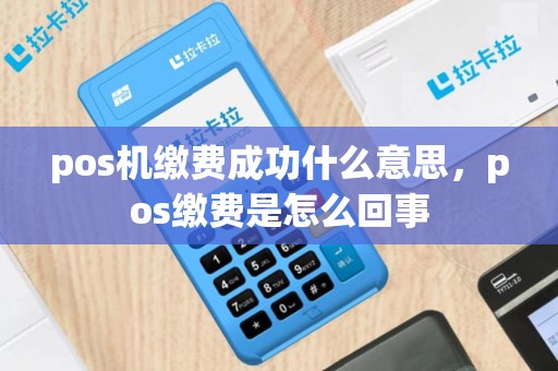 pos机缴费成功什么意思，pos缴费是怎么回事