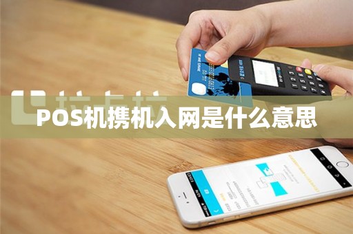 POS机携机入网是什么意思