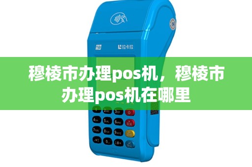 穆棱市办理pos机，穆棱市办理pos机在哪里