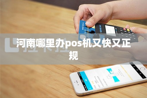 河南哪里办pos机又快又正规