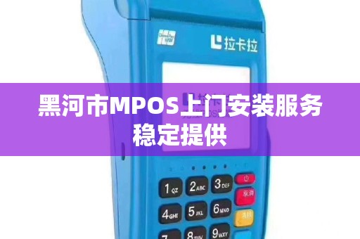 黑河市MPOS上门安装服务稳定提供