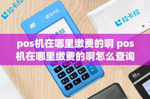 pos机在哪里缴费的啊 pos机在哪里缴费的啊怎么查询