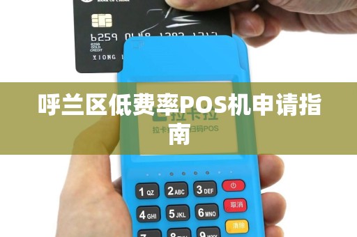 呼兰区低费率POS机申请指南