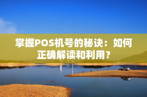 掌握POS机号的秘诀：如何正确解读和利用？