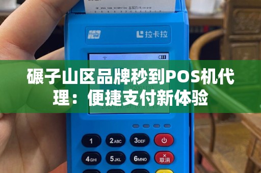 碾子山区品牌秒到POS机代理：便捷支付新体验
