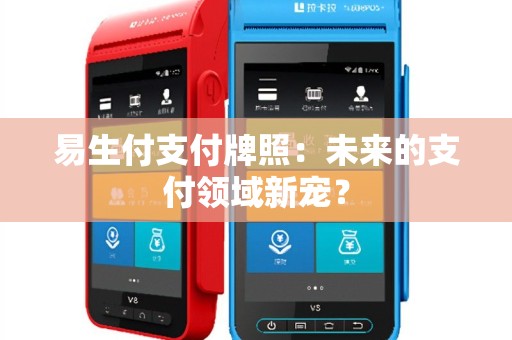 易生付支付牌照：未来的支付领域新宠？