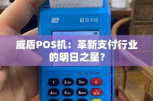 威盾POS机：革新支付行业的明日之星？