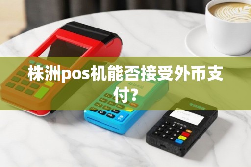 株洲pos机能否接受外币支付？