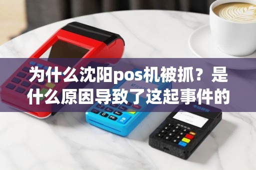 为什么沈阳pos机被抓？是什么原因导致了这起事件的发生？