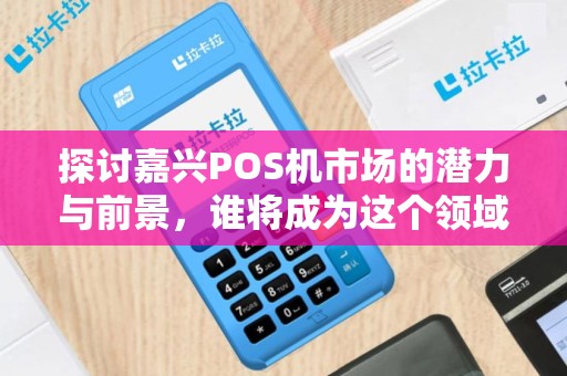 探讨嘉兴POS机市场的潜力与前景，谁将成为这个领域的领头羊？