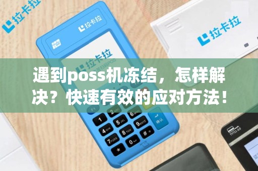 遇到poss机冻结，怎样解决？快速有效的应对方法！
