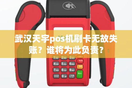 武汉天宇pos机刷卡无故失账？谁将为此负责？