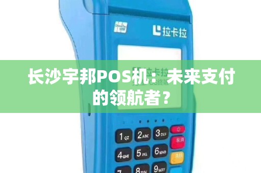 长沙宇邦POS机：未来支付的领航者？