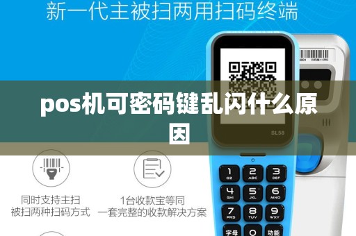 pos机可密码键乱闪什么原因