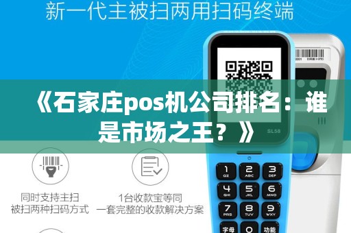 《石家庄pos机公司排名：谁是市场之王？》